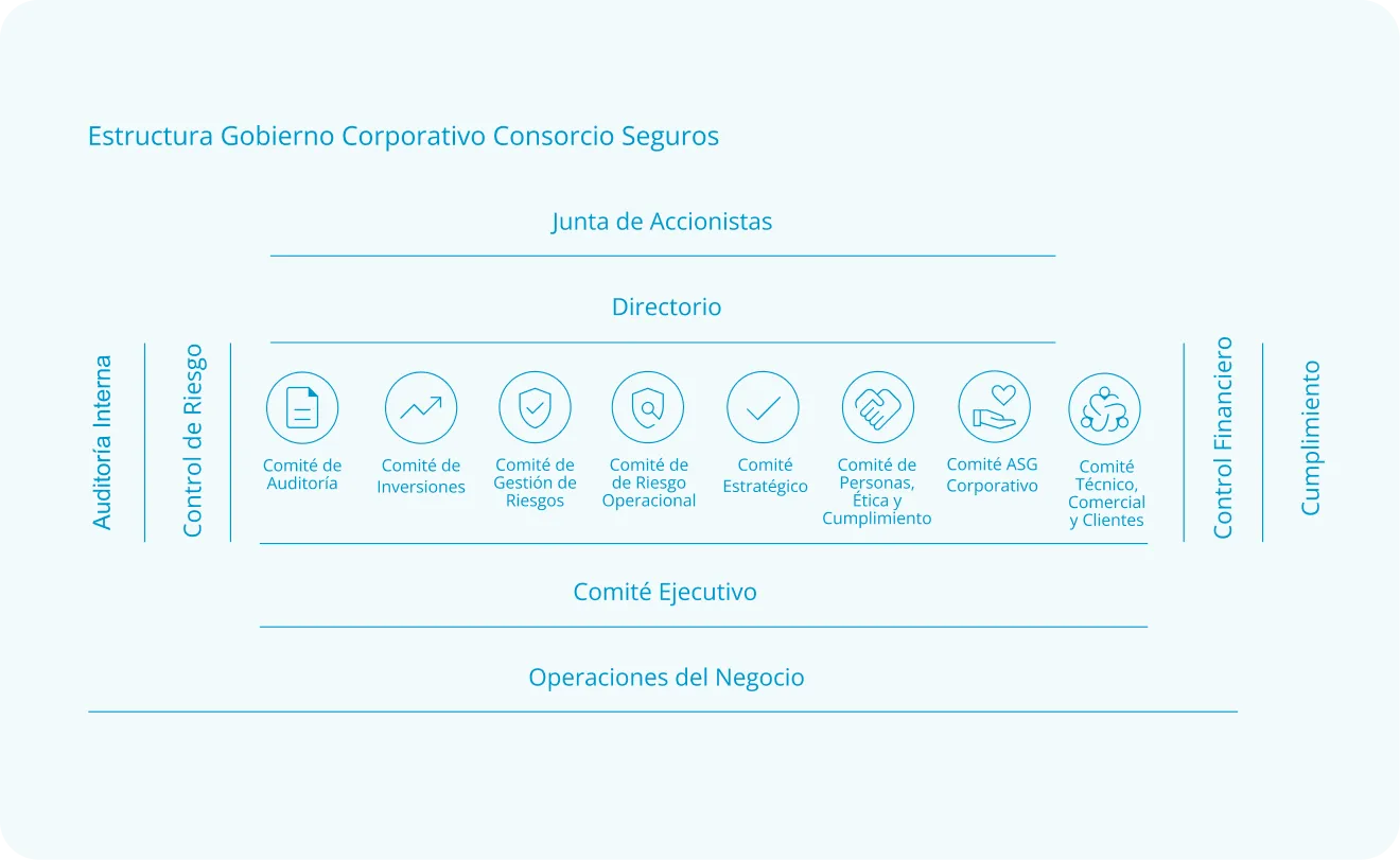 Organigrama gobernanza Compañía de Seguros