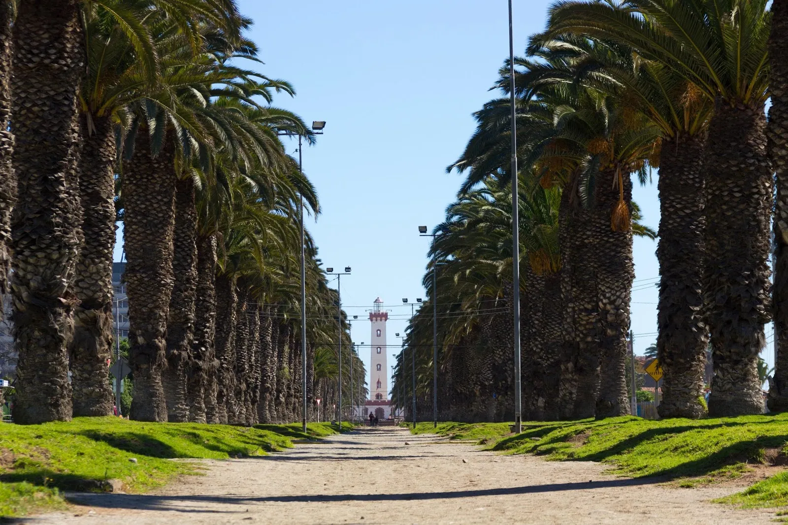 Avenida de palmeras en La Serena que conduce al Faro Monumental en día despejado.